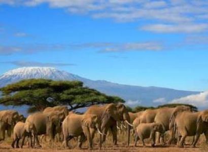 6 Days Kenyan Classic Luxury Tour