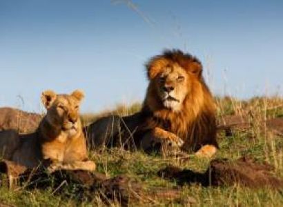7 Days Kenyan Safari Experience Tour