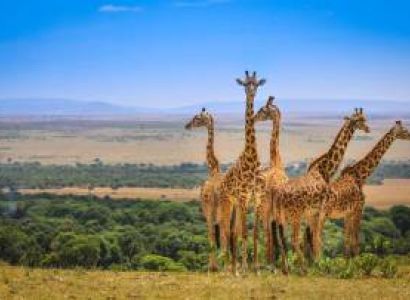 3 Days Kenyan Budget Safari Tour