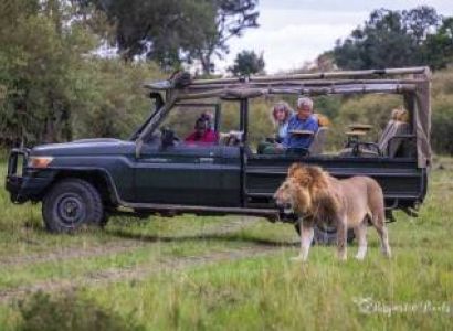 8 Days Kenya And Tanzania Safari Tour