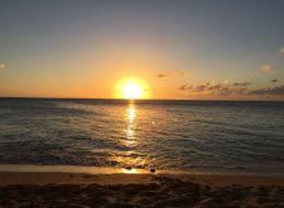 16-Day Bush and Beach Safarii Van