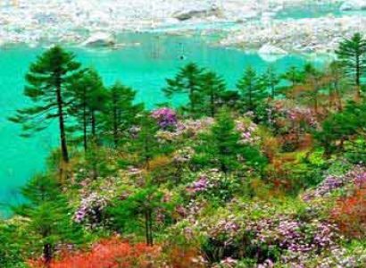Gangtok Darjeeling Kalimpong Tour
