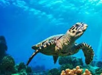 Port Blair Holiday Tour Package