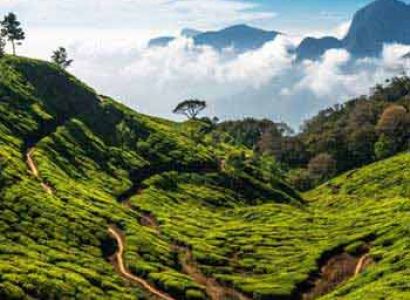 Hills Of Bengal Tour