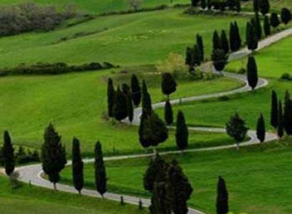 Bangalore/Mysore/Ooty 5N/6D Tour