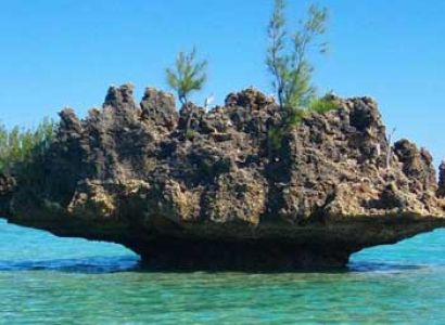 Mauritius Tour 4N/5D