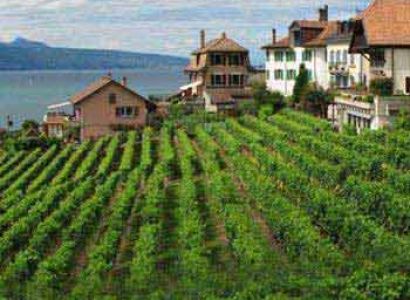 North East Tour Package