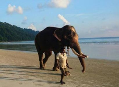 Andaman Honeymoon Package
