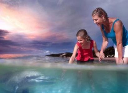 Tangalooma & Gold Coast Adventure Tour