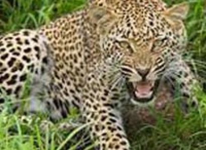 Sea Shore-Sunshine Tour