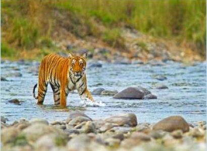 2 Nights - 3 Days  Corbett Weekend Tour