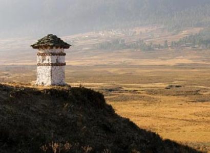 Blink to Phobjikha Tour