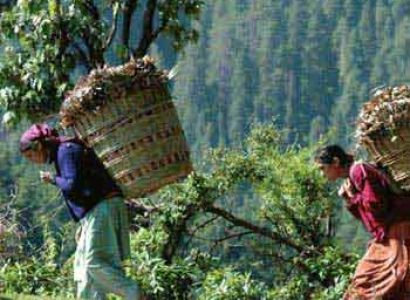 Deoghar to Gangtok to Darjeeling Tour Package.