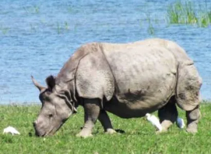 Shillong - Kaziranga- Guwahati Package