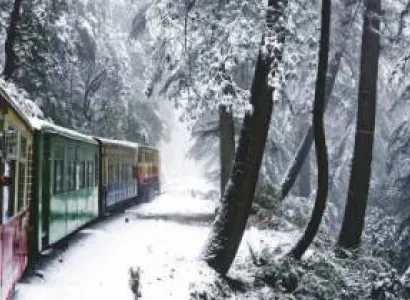 Shimla, Manali & Chandigarh Tour