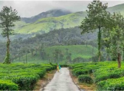 Mysore and Wayanad 4 star Package for 5 Days