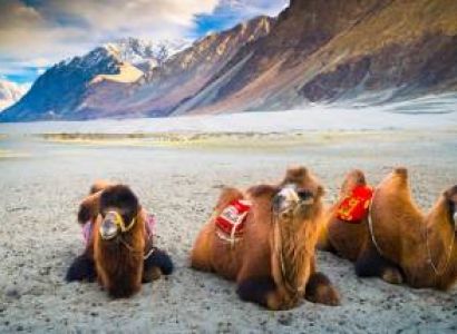 Amazing Ladakh with nubra and pangong