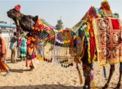 Rajasthan Heritage With Jaipur, Jodhpur And Udaipur Experience