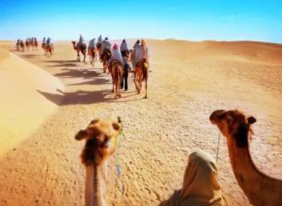 Joyful Vacation at Desert