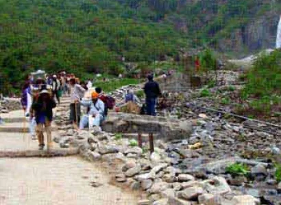 Valley of Flowers Tour