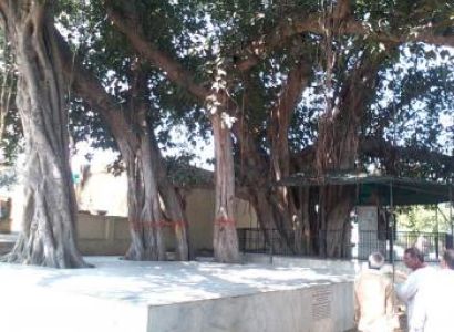 Shri Braj Mandal 84 Kos Yatra Package