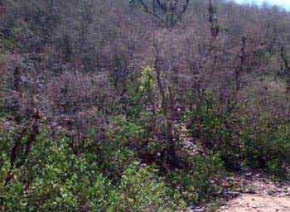 Packages in Vrindavan