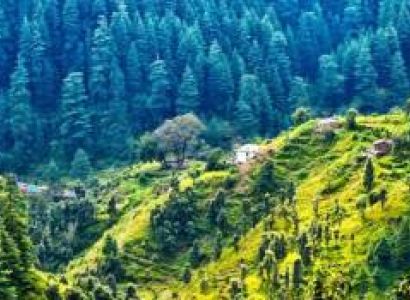 Uttarakhand 6 Nights 7 Days Tour