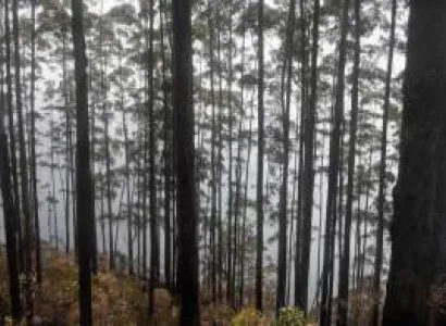 6 Nights and 7 Days, South Delight