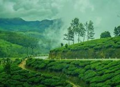 7 Night - 8 Days Kerala Tour