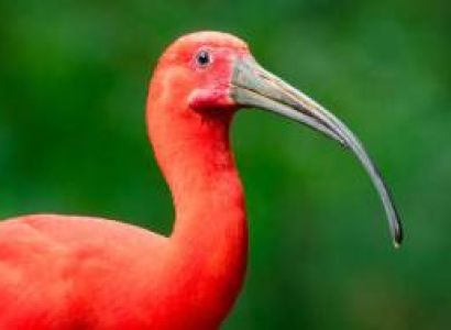 Kuala Lumpur 5 nights and 6 days