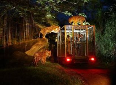 Singpore 5 nights and 6 days