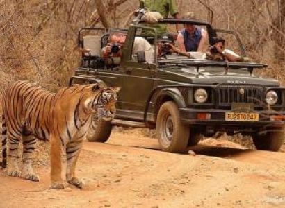 Kanha And Bandhavgarh National Park Tour From Jabalpur