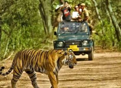 One Night Stay Package for Corbett National Park Tour