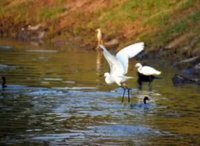 Taj Mahal with Bharatpur Bird Sanctuary Tour