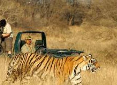 Taj Mahal with Tiger Tour