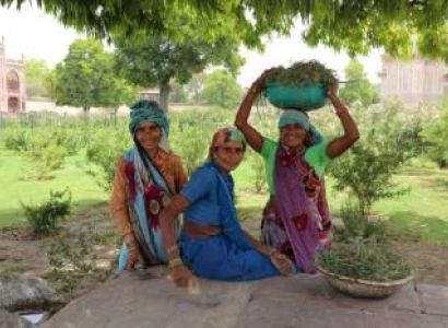 Same Day Taj Mahal Tour By Car