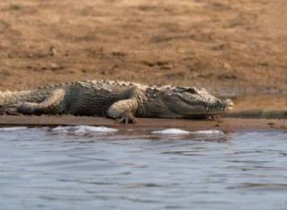 Taj Mahal Chambal Safari Tour