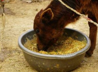 Fatehpur Sikri Tour From Agra