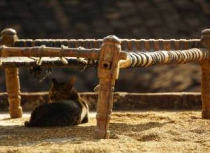 Fatehpur Sikri Tour From Agra