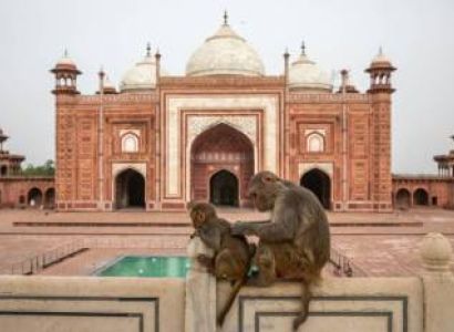 Delhi Agra Tour Package 2 Days