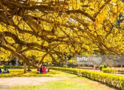 4N5D BANGALORE-MYSORE-OOTY-KODAIKANAL-BANGALORE SOUTH INDIA TOUR PROGRAM