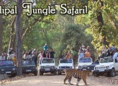 Explore Simlipal & Chandipur - 3 Nights 4 Days
