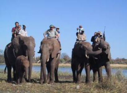 Kaziranga Tour 6 Days