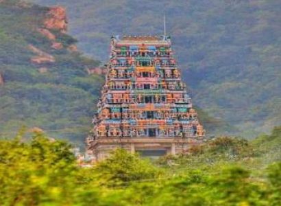 5 Night 6 Days Ooty  Tour Packages