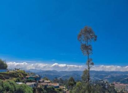 5 Night 6 Days Ooty  Tour Packages