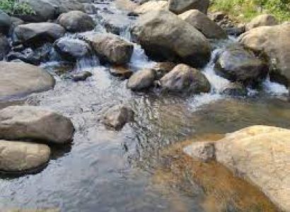 5 Night 6 Days Ooty  Tour Packages