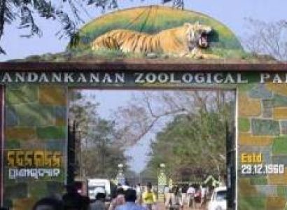 4 Night - 5 Days Odisha Tour Package