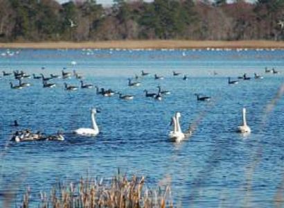 4 Night - 5 Days Odisha Tour Package