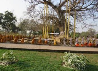 7 Days Buddhist Sector Tour