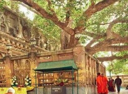 Buddhist Pilgrimage Itinerary 7 Day Tour